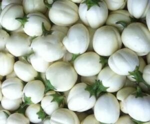 Aubergine Blanche 1 kg