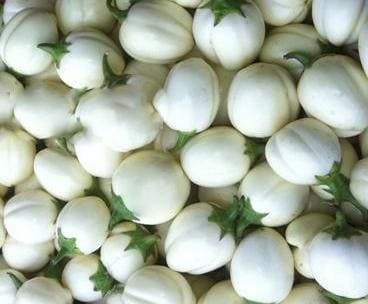 Aubergine Blanche 1 kg